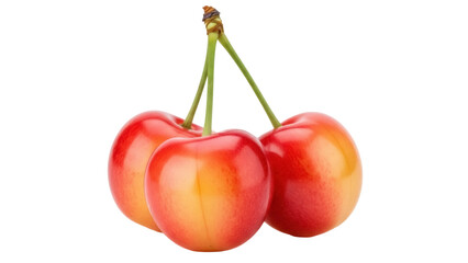 Isolated Rainier cherries, fresh and juicy fruits, ripe summer harvest, vitamins, healthy treat