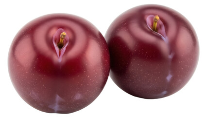 Isolated Plum fruits, two fresh and ripe plums in close up studio shot on seamless background