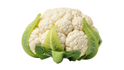 Isolated cauliflower head, healthy nutrition and diet, fresh and natural, cooking ingredient