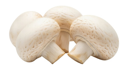 Isolated group of fresh edible button mushrooms ready to eat, uncooked, vegetarian