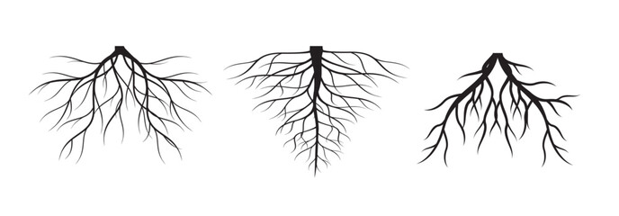 Set of black tree roots. Outline flat Illustration.
