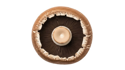 Isolated Portobello mushroom with gills, overhead view, culinary ingredient for cooking