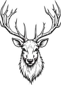 A majestic stag with magnificent antlers, rendered in a striking black and white illustration.