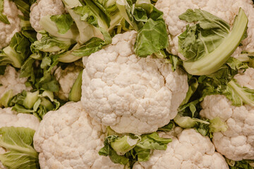 The top view of fresh large cauliflowers vegetables inside on the food market in Adelaide in Australia with space for text.