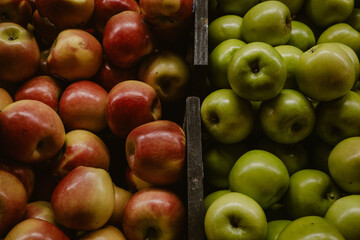 Shiny and separated red and green apples inside the building of the Central Market in Adelaide in Australia.