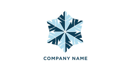 Blue Snowflake Corporate Logo Design Element.