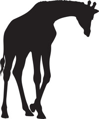 Baby Giraffe Silhouette, Cute Calf icon, vector eps 