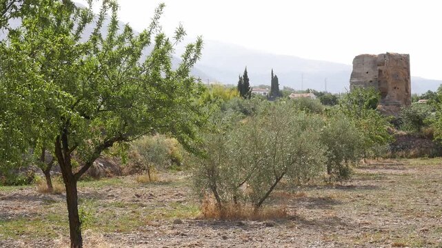 Ruins of the Nasrid-era watchtower known as Torre de Marchena or Margena, in the municipality of D&uacute;rcal, Valle de Lecr&iacute;n, Andalusia.