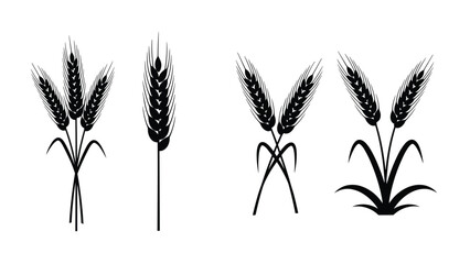 Illustrations of wheat plants and ears in various styles on a white background from a straightforward viewpoint