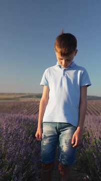 Boy lavender field happy child raises arms in celebration enjoying summer nature freedom Vertical video