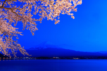 河口湖から見た富士山と桜