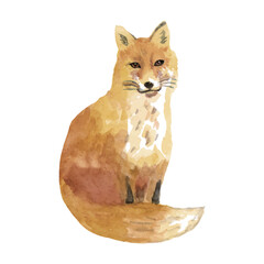 watercolor fox