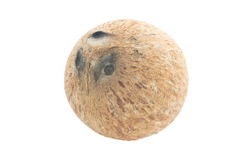 Fresh Coconuts isolated on white background