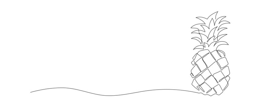 Pineapple one line drawing, continuous single minimal outline illustration. Sketch of fruit