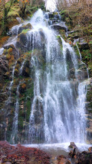 Obraz premium Waterfall in the forest in Asturias, photo of a beautiful waterfall in Spain high resolution photo. Cascada de Xurbeo