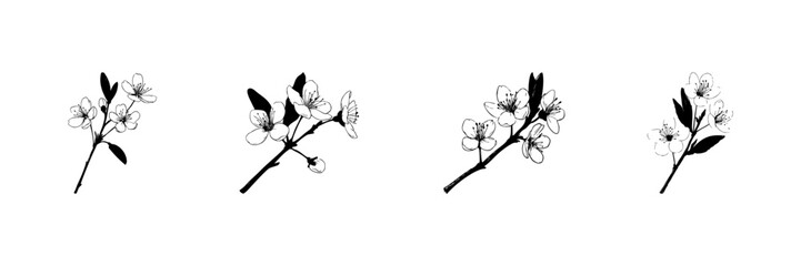 Cherry Blossom Branches Doodle Sketch Set. Elegant Floral Design And Botanical Illustration In Hand Drawn Style Collection. Perfect For Spring Themes And Nature Decor. Isolated Vector Illustration