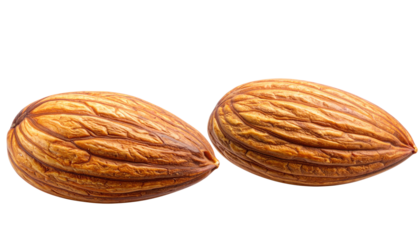 Whole Almond Nut Realistic Detail PNG Transparent Background