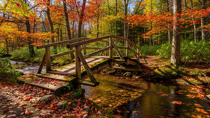 Serene Woodland Bridge in Autumn