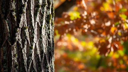 Autumn Tree Bark with Vibrant Foliage Background