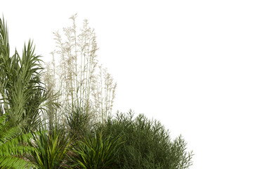 Diverse green foliage, including broad leaves, spiky plants, and tall feathery plumes, emphasizing organic shapes