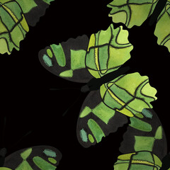 Malachite butterfly. Seamless watercolor pattern for printing on fabric, textiles, wrapping paper, bags, notebooks and notepads. Trend for ss2026
