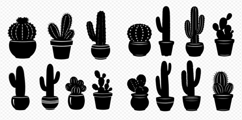 Set of various black silhouette cactus and succulent plants in pots isolated on transparent background. © Akun