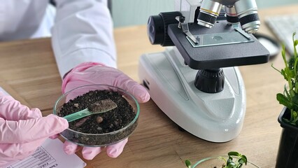 Scientist examines soil sample using microscope in laboratory