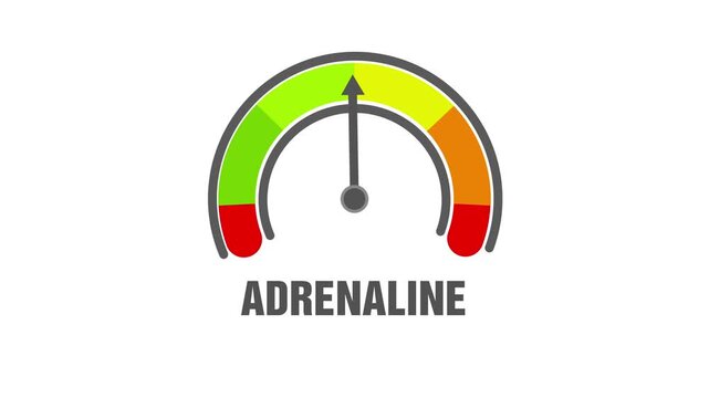 Animated adrenaline level meter decreasing from normal to low level, for concepts related to low adrenaline, hormone imbalance and stress response