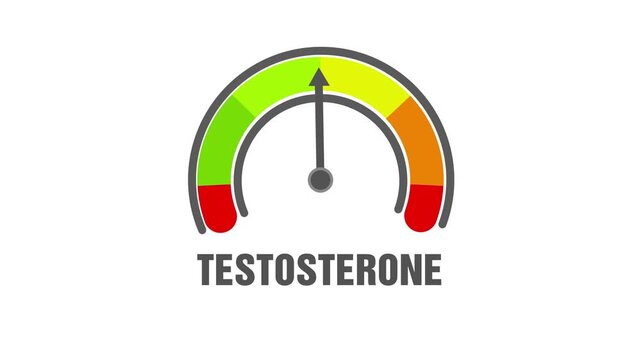 Animated testosterone level meter decreasing from normal to low level for concepts related to low testosterone, hormone imbalance, and men&rsquo;s health awareness