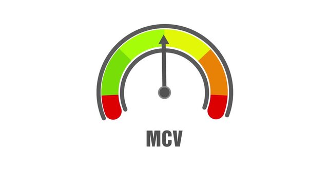 Animated MCV (mean corpuscular volume) level meter moving from low level to normal level, ideal for concepts related to blood health, anemia management, and medical monitoring.