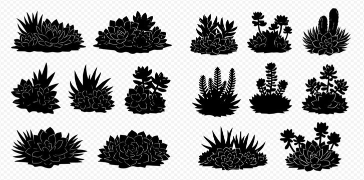 Set of black silhouettes of various succulent plants and bushes on a transparent background.