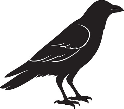 Black crow silhouette icon vector graphic isolated on transparent background