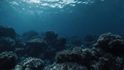 Naklejka premium Underwater view of a vibrant coral reef with sunlight filtering through the ocean surface.