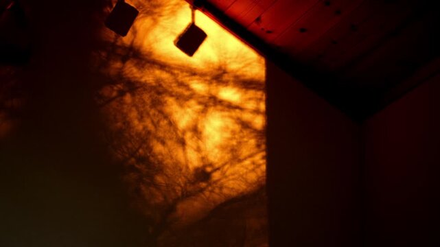 部屋の白い壁に差し込む夕日と揺れる木の影