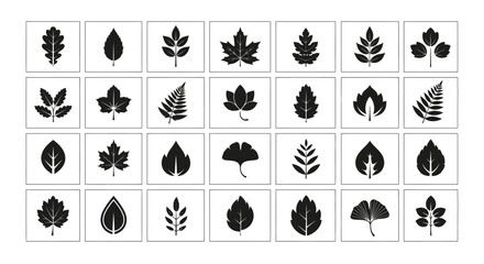 Leaf Variety Set: A diverse collection of silhouettes representing numerous leaf species, creating