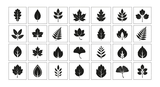 Leaf Variety Set: A diverse collection of silhouettes representing numerous leaf species, creating