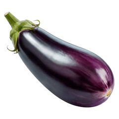 Fresh Purple Eggplant Isolated on White Background