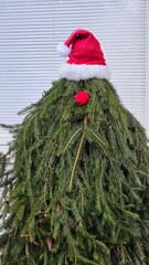Minimalist Christmas Tree with Santa Hat and Red Nose Outdoors