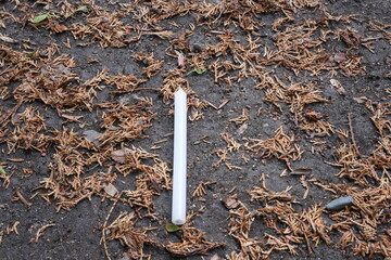 A candle is laying on the ground next to some dried leaves. The candle is white and the leaves are brown