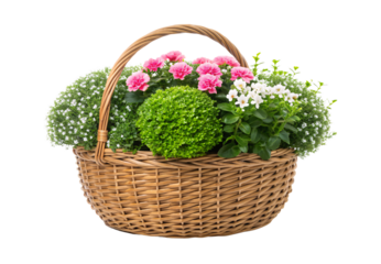 Natural wicker basket overflowing with pink flowers white blooms and greenery, isolated on a transparent background