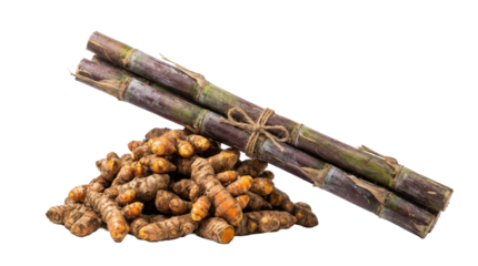 Pongal festival still life of brown sticks and a pile of small brown objects arranged together for cooking or decoration isolated on white