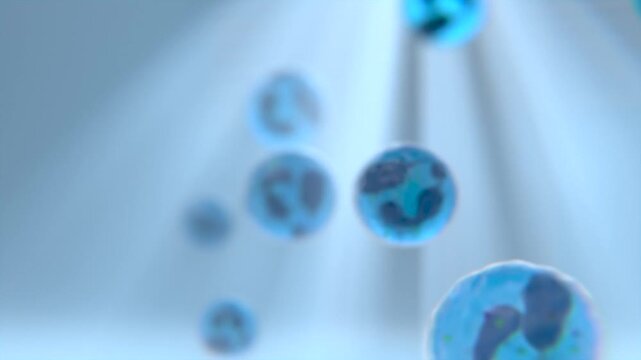 Photo-realistic visualization of a Neutrophils falling oin HD video | Neutrophils Falling video in HD