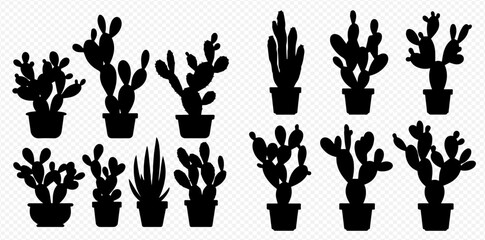 Fototapeta premium Collection of various potted cactus and succulent plant silhouettes on a transparent background.