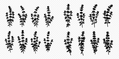 Set of black silhouette lavender flowers or rosemary sprigs, isolated on transparent background, vector illustration. © Akun