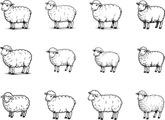 Fluffy Sheep SVG for Cricut