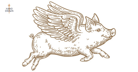 Fly piggly, pig, piglet with wings. Vintage retro pig print, black white fly piggly drawing, piglet with wings, grunge pig old school style. Silhouette angel pig, piglet, piggly. Vector Illustration