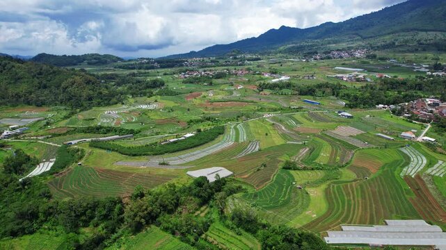 Aerial drone footage of a large green agricultural plain in Indonesia, with many small plots of different vegetables in in the slope of Ungaran volcano and villages around