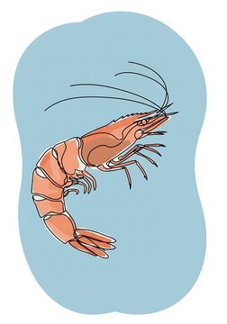 Shrimp Sketch: Ocean's Grace