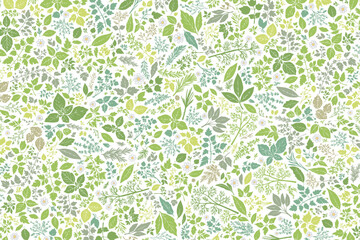 ハーブ柄のパターン　前面に敷き詰めた構成