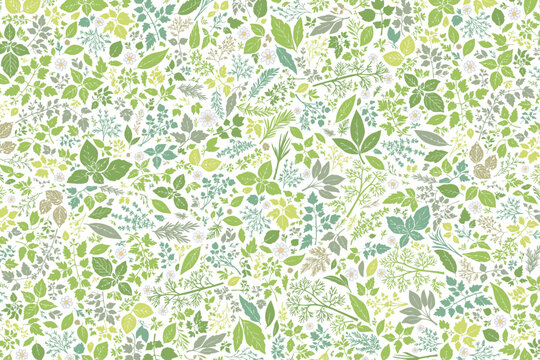 ハーブ柄のパターン　前面に敷き詰めた構成